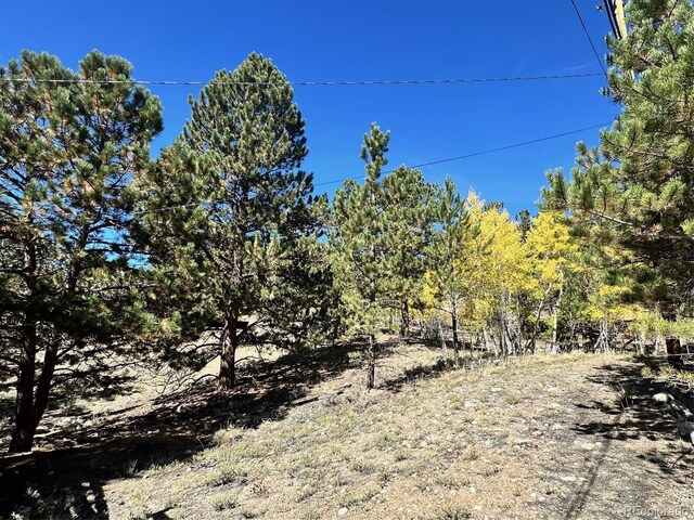 142 La Plata Peak Dr, Twin Lakes, CO 81251 - photo 10