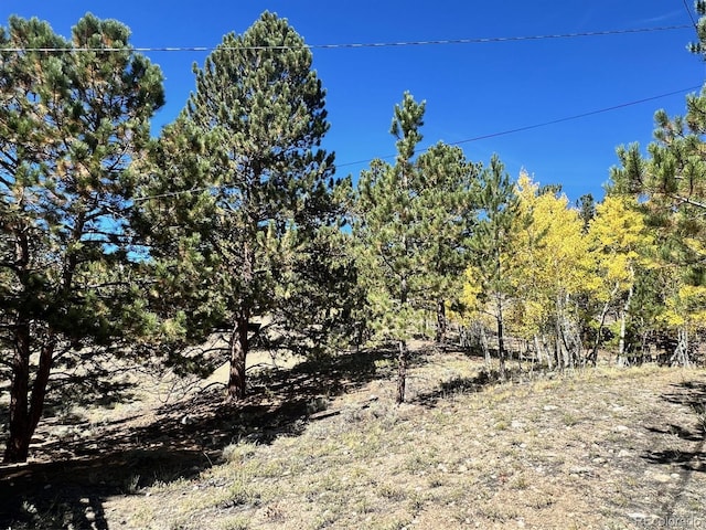 142 La Plata Peak Dr, Twin Lakes, CO 81251 - photo 11