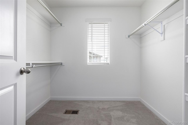 spacious closet featuring carpet flooring