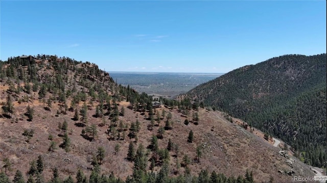 mountain view featuring a wooded view