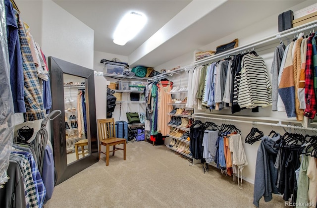 walk in closet with carpet flooring