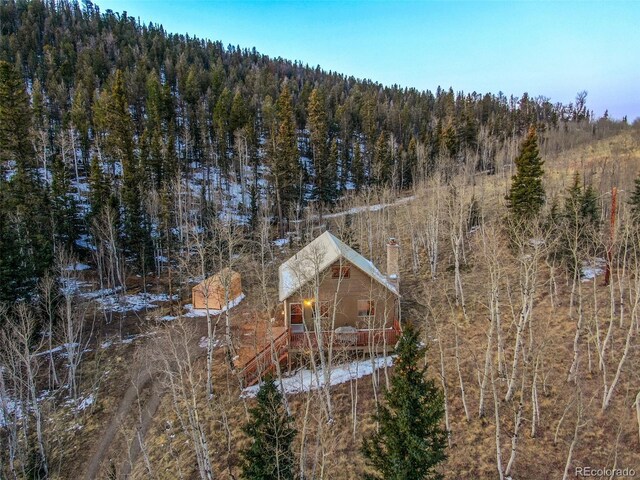 144 Outlaw Ct, Jefferson, CO 80456 - photo 33