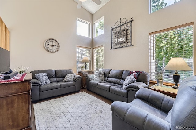 8435 Sweet Clover Way, Parker, CO 80134