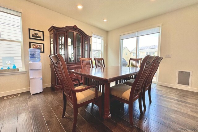 dining room featuring plenty of natural light and dark hardwood / wood-style floors