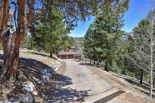 320 Summit Rd, Woodland Park, CO 80863 - view of asphalt driveway