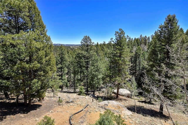 320 Summit Rd, Woodland Park, CO 80863 - view of woods