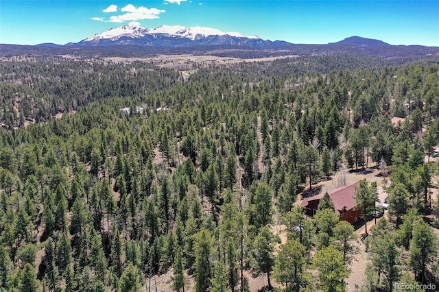 320 Summit Rd, Woodland Park, CO 80863 - drone / aerial view of a heavily wooded area and a mountain backdrop