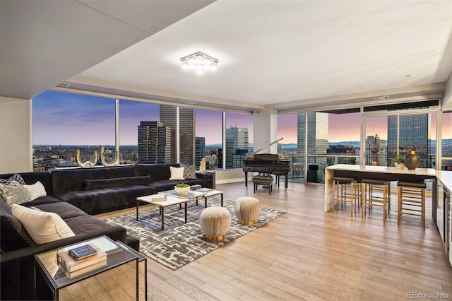 living area featuring a view of city, light wood finished floors, and floor to ceiling windows