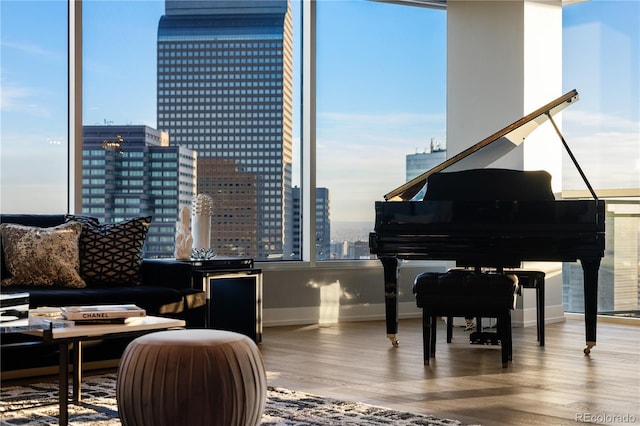 living area featuring baseboards, a city view, and wood finished floors