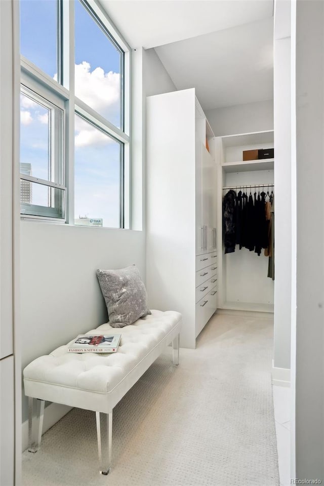 spacious closet featuring light carpet