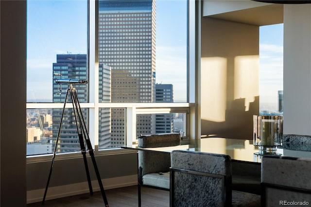 interior space featuring baseboards, a city view, and wood finished floors