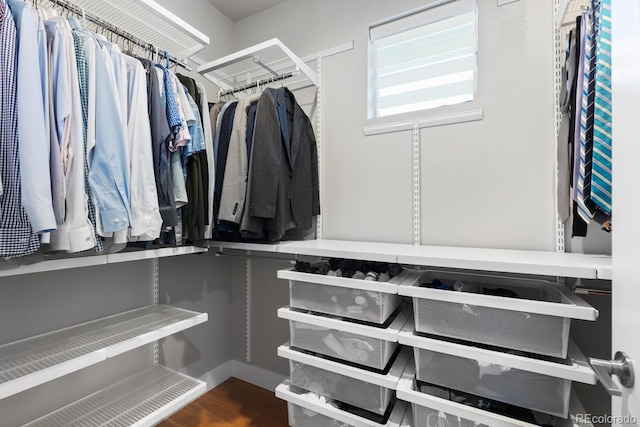 spacious closet featuring dark wood-type flooring