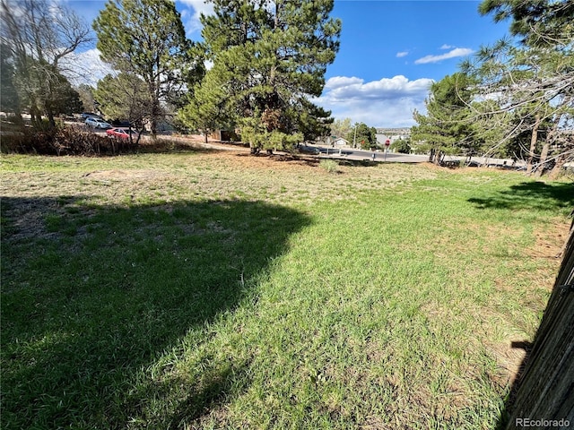 280 Raven Hills Rd, Colorado Springs, CO 80919 - view of yard