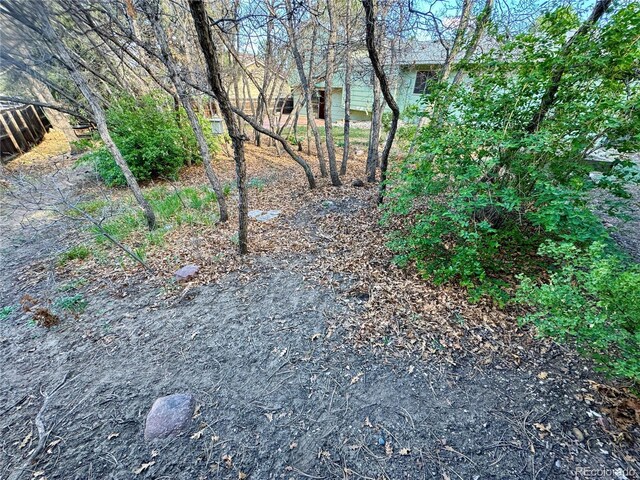 280 Raven Hills Rd, Colorado Springs, CO 80919 - view of yard