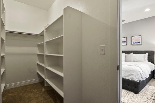 spacious closet featuring carpet floors