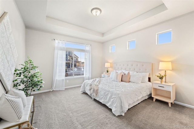 carpeted bedroom featuring a raised ceiling