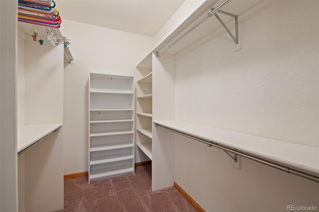 17 Carla Cir, Broomfield, CO 80020 - photo 22