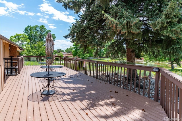 17 Carla Cir, Broomfield, CO 80020 - photo 39