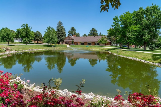 17 Carla Cir, Broomfield, CO 80020 - photo 40