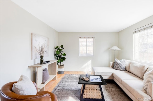 living room featuring light wood-style floors