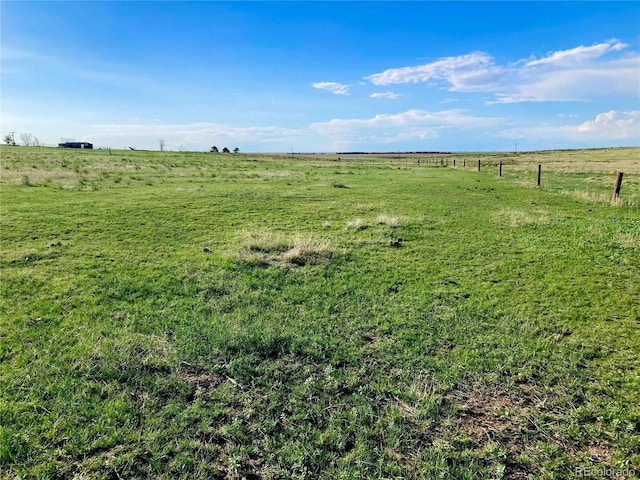 view of yard featuring a rural view