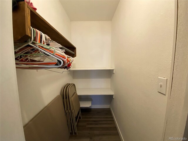 spacious closet with dark hardwood / wood-style floors