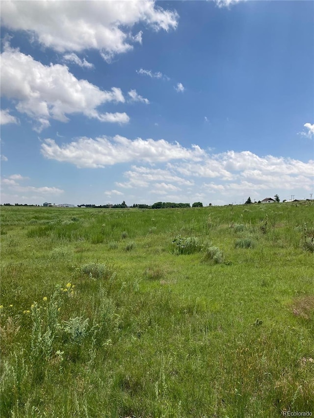 view of nature featuring a rural view