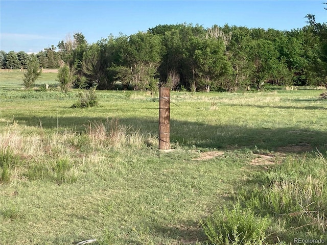 view of local wilderness featuring a rural view