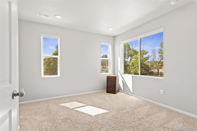 empty room featuring carpet and plenty of natural light