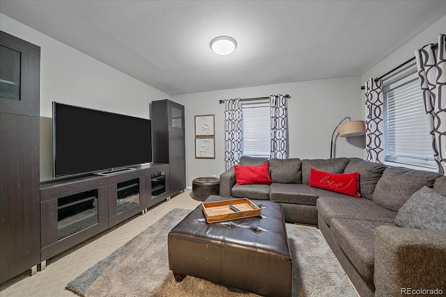 carpeted living room with a textured ceiling