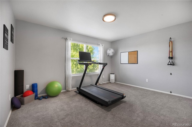 3207 Lump Gulch Way, Erie, CO 80516 - photo 25