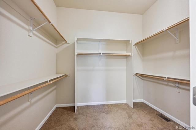 10205 Bluffmont Dr, Lone Tree, CO 80124 - walk in closet featuring carpet flooring