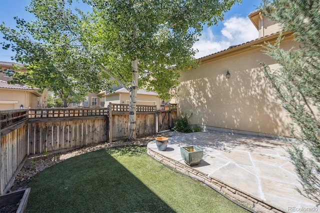 10205 Bluffmont Dr, Lone Tree, CO 80124 - fenced yard with a patio area and a gate