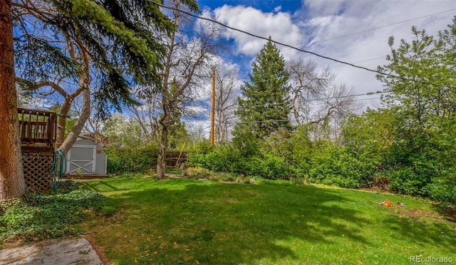 view of yard featuring a storage unit and an outbuilding