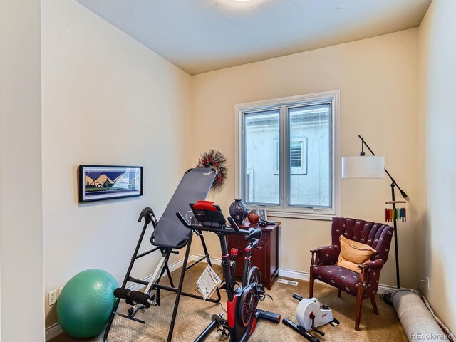 5092 S Allison Way, Littleton, CO 80123 - exercise room with carpet floors and baseboards