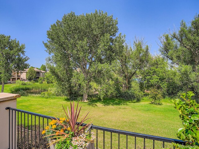 5092 S Allison Way, Littleton, CO 80123 - view of yard