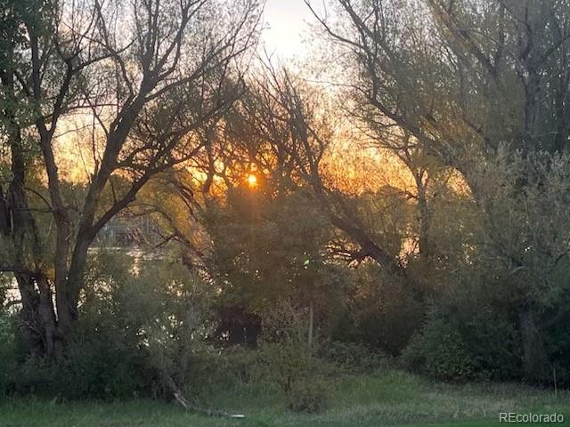 5092 S Allison Way, Littleton, CO 80123 - view of wooded area