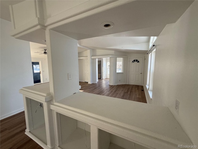 foyer entrance with dark hardwood / wood-style flooring, plenty of natural light, and a barn door