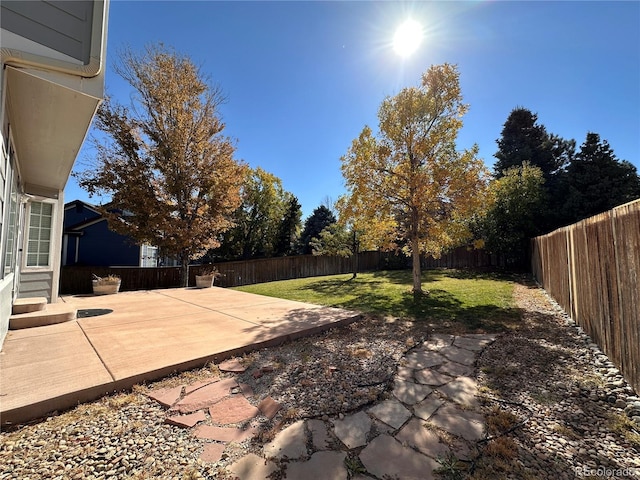 view of yard with a patio