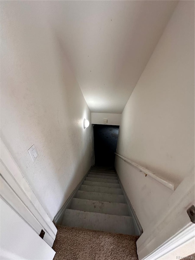 stairway featuring carpet flooring