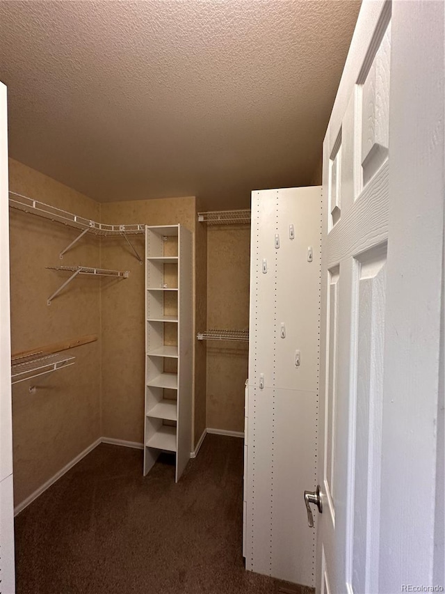 spacious closet featuring dark carpet