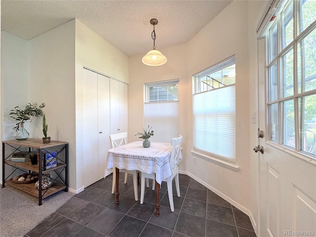 4760 S Wadsworth Blvd Unit F105, Littleton, CO 80123 - dining room with healthy amount of natural light, a textured ceiling, baseboards, and dark tile patterned flooring