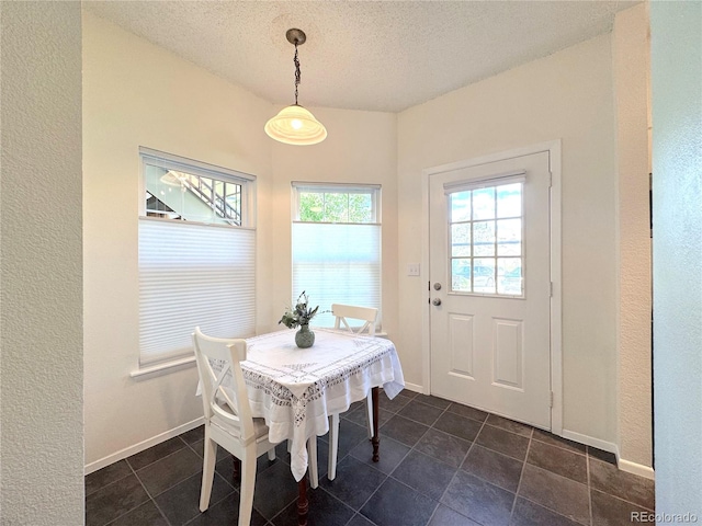 4760 S Wadsworth Blvd Unit F105, Littleton, CO 80123 - dining space featuring a textured ceiling, dark tile patterned floors, baseboards, and a textured wall
