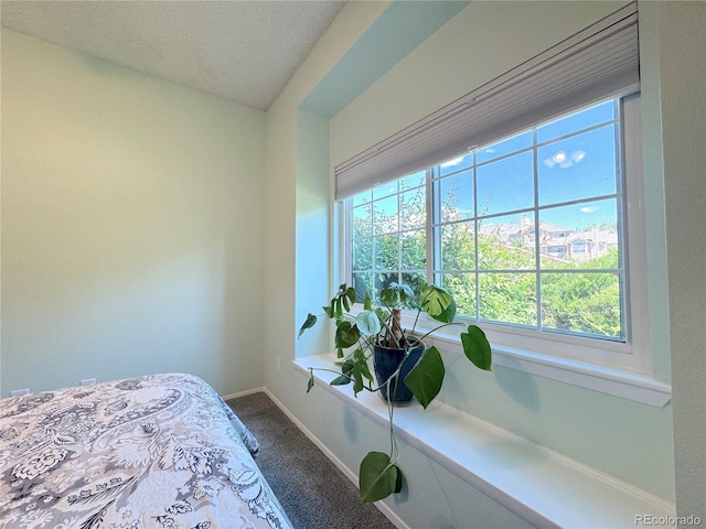 4760 S Wadsworth Blvd Unit F105, Littleton, CO 80123 - bedroom featuring carpet flooring, baseboards, and a textured ceiling