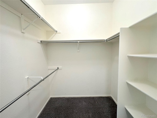 4760 S Wadsworth Blvd Unit F105, Littleton, CO 80123 - walk in closet featuring carpet flooring