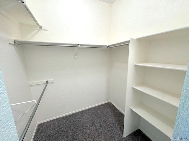 4760 S Wadsworth Blvd Unit F105, Littleton, CO 80123 - spacious closet featuring dark carpet