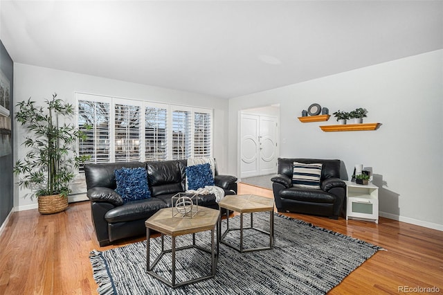 living room with hardwood / wood-style floors and a baseboard radiator