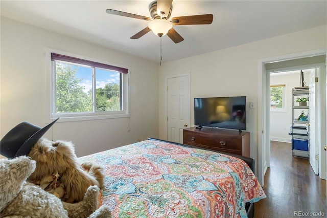 1709 S Kearney St, Denver, CO 80224 - photo 20