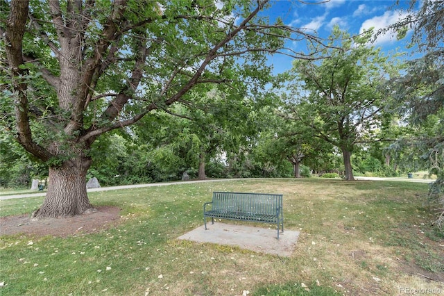 1709 S Kearney St, Denver, CO 80224 - photo 37