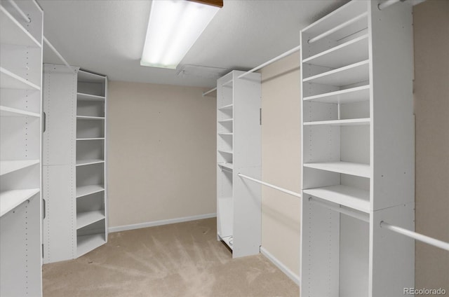 8951 Greenwich St, Highlands Ranch, CO 80130 - walk in closet featuring carpet